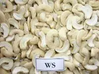 Cashew