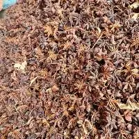 Star Anise
