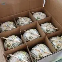 Coconut
