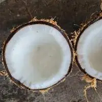 Dried Coconut