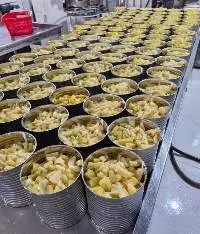 Canned Pineapple