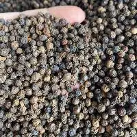 Peppercorn