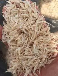 Dried Baby Shrimp