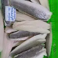 Snakehead Fillet