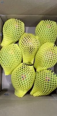 Fresh Mango