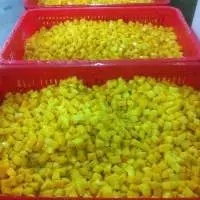 Frozen Mango