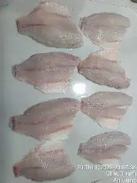 Tilapia Fillet