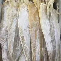 Dried cuttle