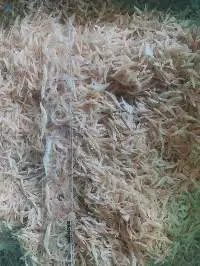 Dried Baby Shrimp