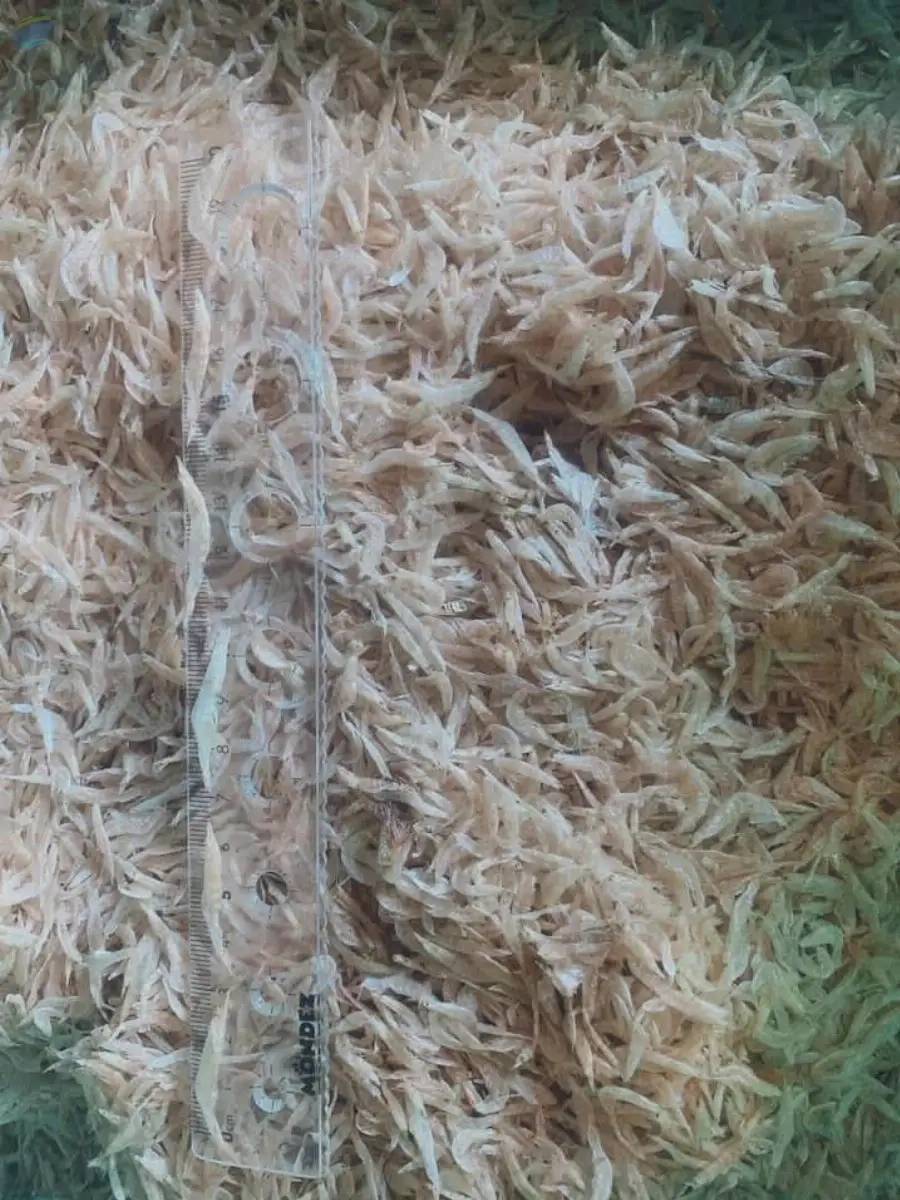 Dried Baby Shrimp
