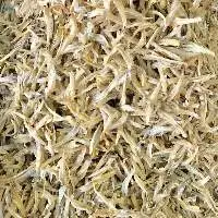 Dried Fillet Anchovy Fish