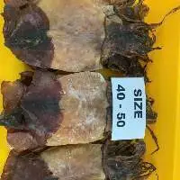 Dried black squid