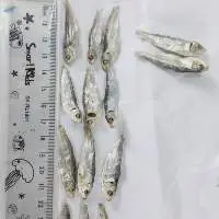 Dried Herring Fish