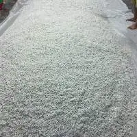 Frozen Chirimen Fish