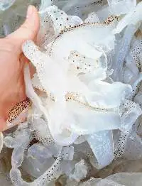 Frozen Jellyfish