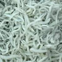 Frozen Chirimen Fish