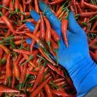 Chili