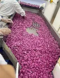 Frozen Dragon Fruit
