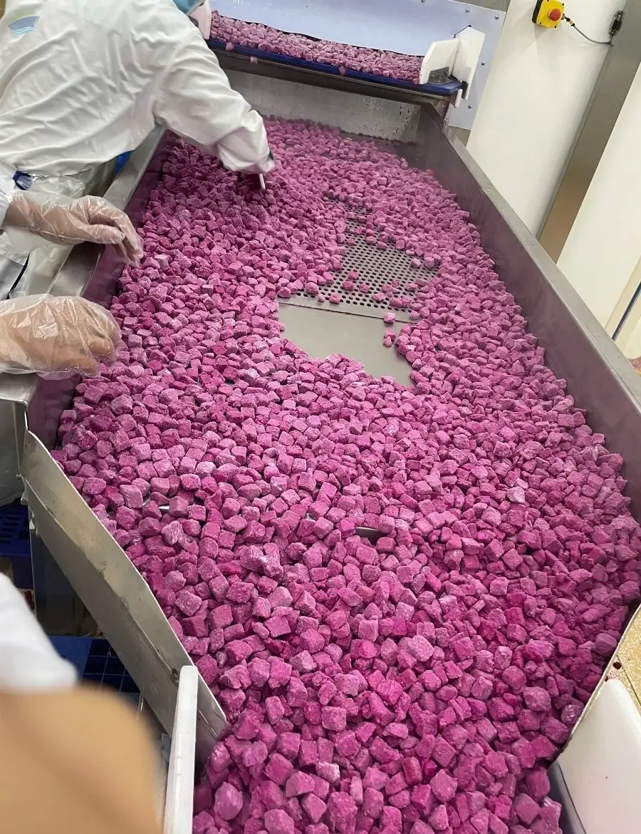 Frozen Dragon Fruit