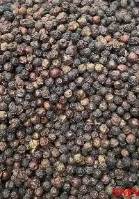 Balack Pepper