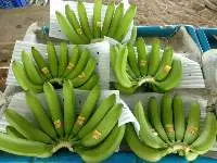 Fresh Banana