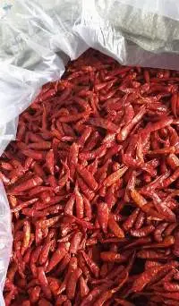 Dried Chili