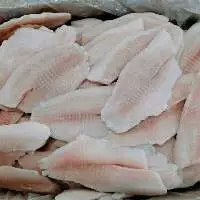 Perch Fillet