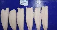 Snakehead Fish Fillet