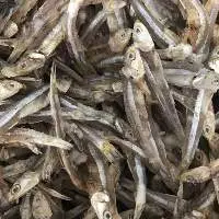 Dried Anchovy Fish