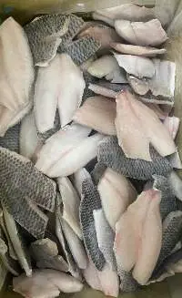 Tilapia Fillet