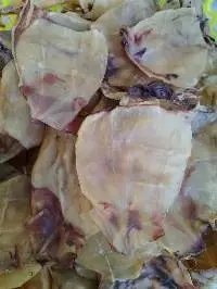 DRIED BLACK SQUID