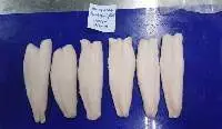 Snakehead Fish Fillet