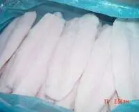 Pangasius Fillet