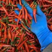 Fresh Chilli