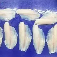 Tilapia Fillet