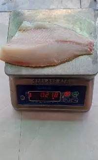 Tilapia Fillet