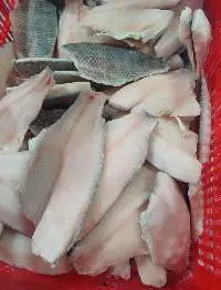 Tilapia Fillet