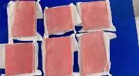 Frozen Tuna Fish