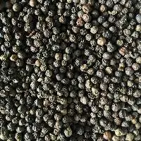 Black Pepper