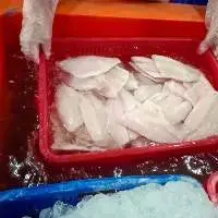 Tilapia fillet