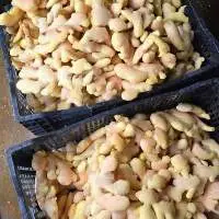 Frozen Ginger