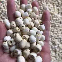 Dried Lotus Seed