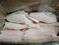 Tilapia Fillet