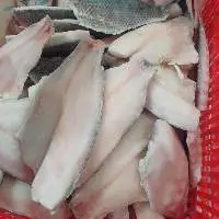Tilapia Fillet