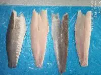 Snakehead Fish Fillet