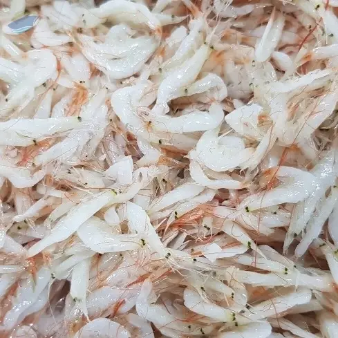 Salted Baby Shrimp