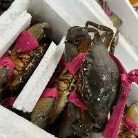 Crab