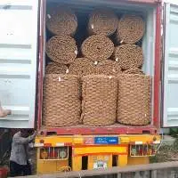 Coconut Fiber Carpet
