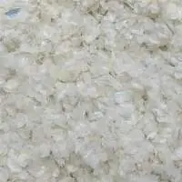 Dried Fish Scale