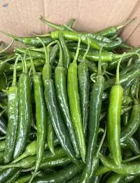 Chilli